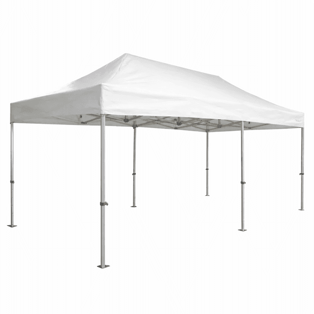 Barnum 3x6m sans murs - Blanc picture